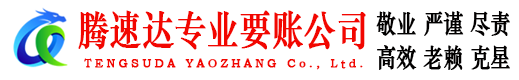 无为清债公司